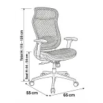 Medical Mesh Chair High Back | Ergonomic Office Chair with 4D Armrests & 1-Year Warranty